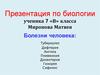 Болезни человека: Туберкулез. Дифтерия. Ангина. Пневмония. Дизентерия. Гонорея. Сифилис