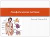 Лимфатическая система. Историческая справка