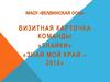 Визитная карточка команды Знайки