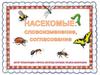 Словообразование, словоизменение. Считаем насекомых