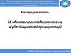 М. Монтессори педагогикалық жүйесінің негізгі принциптері