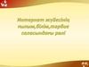 Қазіргі заманда жастарға ақпараттық технологиямен байланысты әлемдік стандартқа сай мүдделі жаңа білім беру өте қажет