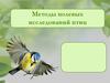 Методы полевых исследований птиц