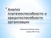 Анализ платежеспособности и кредитоспособности организации