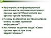 Информационные процессы