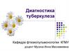 Диагностика туберкулеза