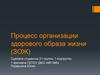 Процесс организации здорового образа жизни (ЗОЖ)