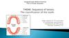 Sequence of tenses. The classification of the tooth