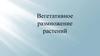 Вегетативное размножение растений