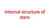Internal structure of stem