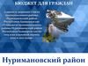Бюджет для граждан. Нуримановский район Республики Башкортостан