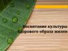 Воспитание культуры здорового образа жизни