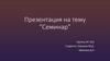 Презентация на тему “Семинар”