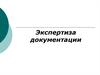 Экспертиза документации