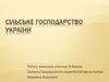 Сільське господарство України