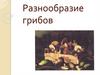 Разнообразие грибов
