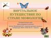 Виртуальное путешествие по стране Морфология