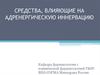 Средства, влияющие на адренергическую иннервацию