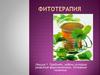 Фитотерапия. Предмет, задачи история развития фармакогнозии. Основные понятия