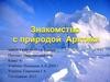 Знакомство с природой Арктики
