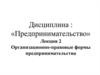 Организационно-правовые формы предпринимательства. Лекция 2
