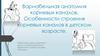 Вариабельная анатомия корневых каналов. Особенности строения корневых каналов в детском возрасте
