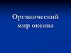 Органический мир океана