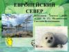 Европейский Север