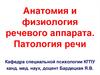 Анатомия и физиология речевого аппарата. Патология речи
