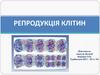 Репродукція клітин