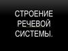 Cтроение речевой системы