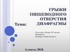 Грыжи пищеводного отверстия диафрагмы