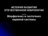 История развития отечественной неврологии. Морфогенез и гистогенез нервной системы