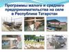 Программы малого и среднего предпринимательства на селе в Республике Татарстан