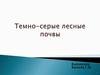 Темно-серые лесные почвы