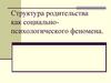 Структура родительства, как социально-психологического феномена. (Тема 2)
