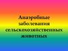 Анаэробные заболевания сельскохозяйственных животных. Сибирская язва