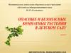 Опасные и безопасные комнатные растения в детском саду. Комнатные растения, разрешенные в детском саду