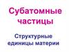 Субатомные частицы. Структурные единицы материи