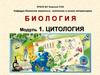 Состав и строение клетки. Тема №1