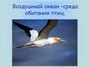 Воздушный океан – среда обитания птиц