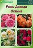 Розы Дэвида Остина