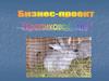 Открытие на базе современных технологий хозяйства по разведению кроликов в домашних условиях