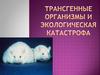 Трансгенные организмы и экологическая катастрофа