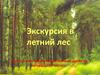 Экскурсия в летний лес. Деление десятичной дроби на натуральное число