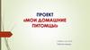 Мои домашние питомцы. Проект