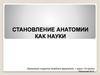 Становление анатомии как науки