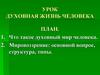 Духовная жизнь человека. Мировоззрение
