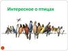 Интересное о птицах