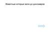 Животные которые жили до динозавров